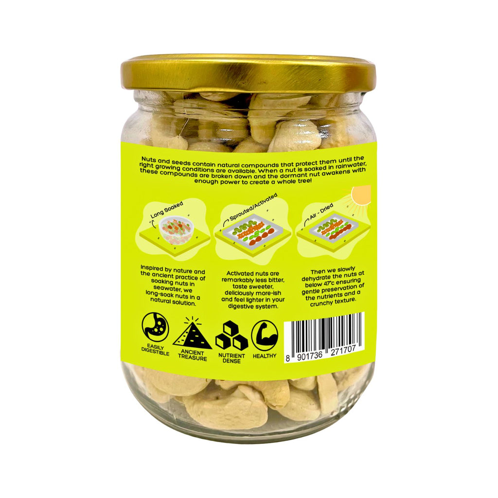 d-alive_activated_cashews_mildly_salted_300g_jar_back