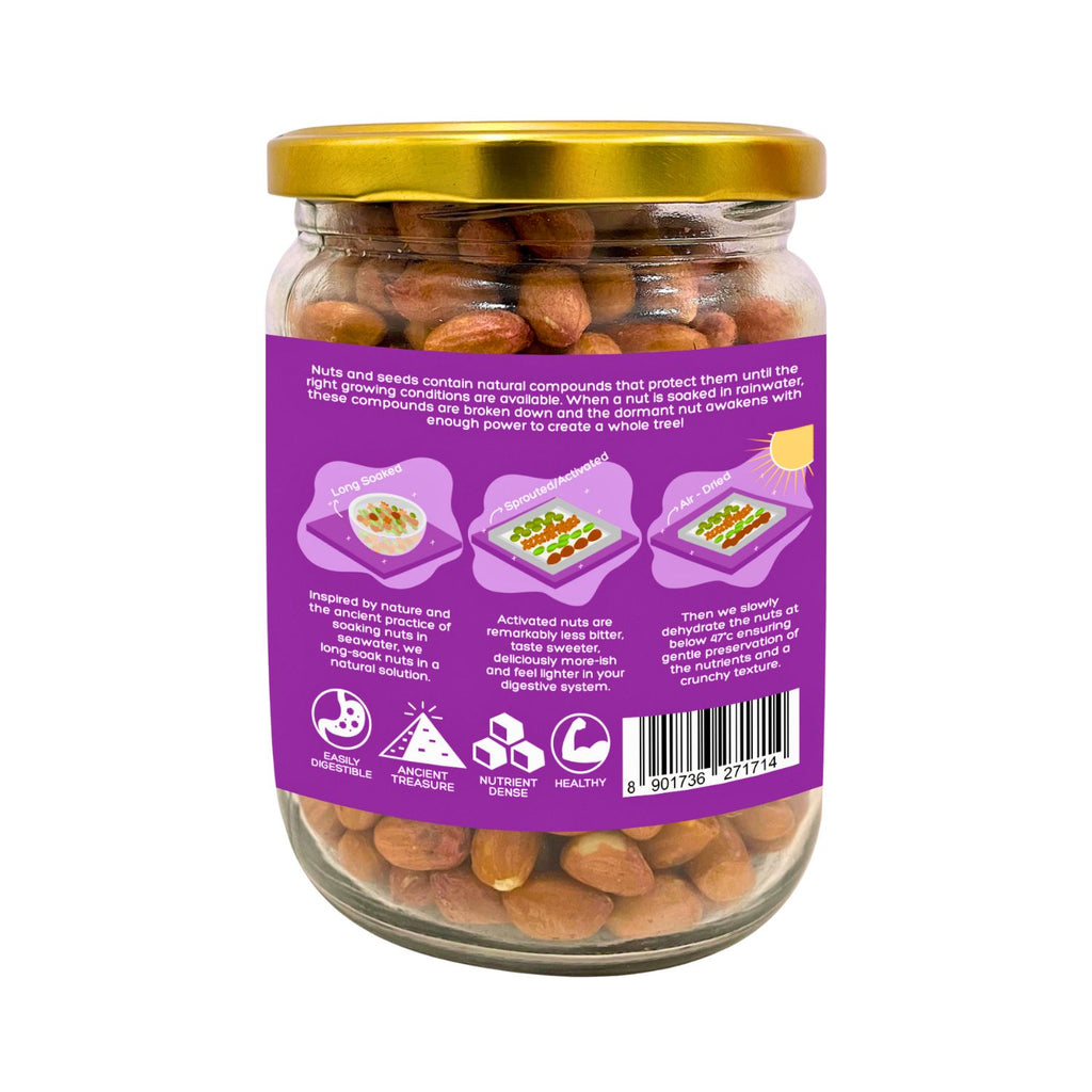 d-alive_activated_peanuts_mildly_salted_300g_jar_back