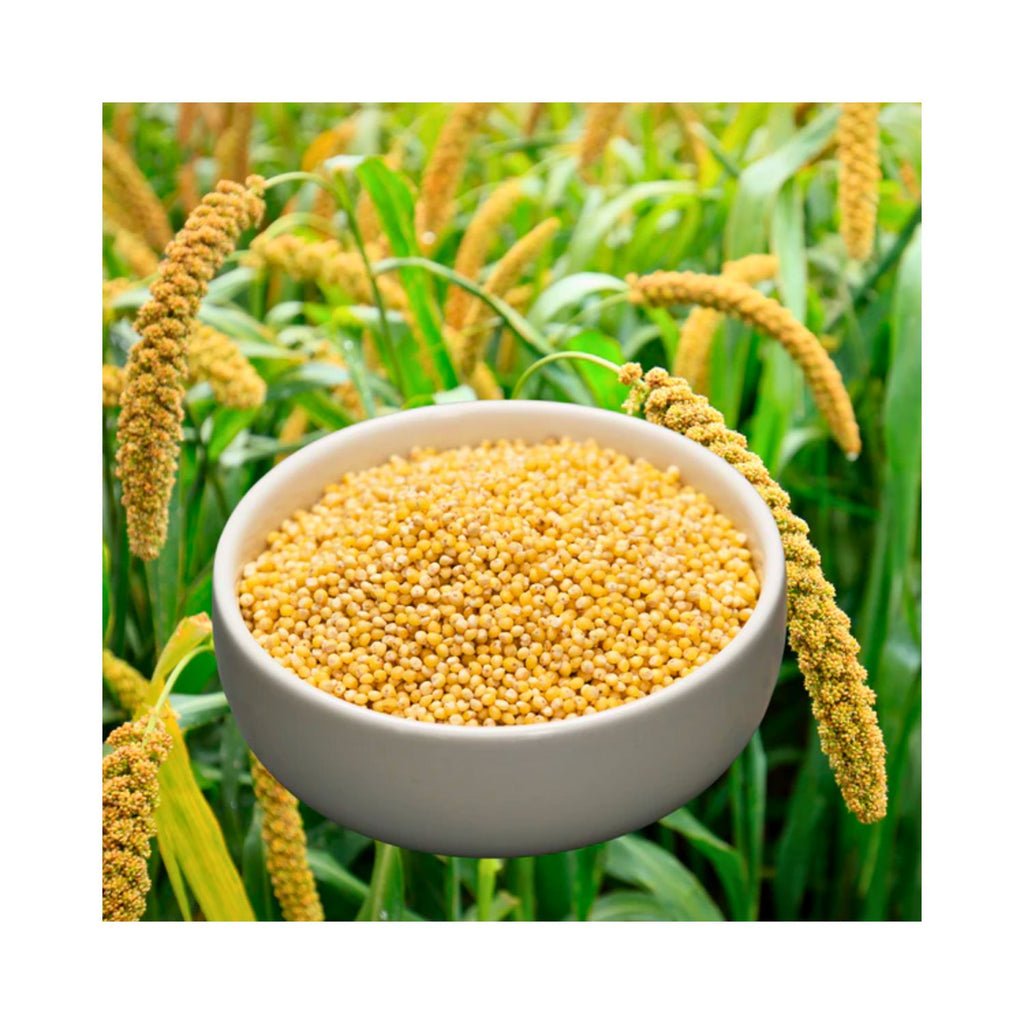 tru_millets_foxtail_millet_pack_of_2_1kg_pack_contents